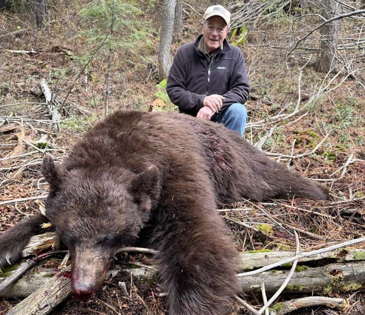 Book Your 2025 Idaho Bear Hunt: Limited Availability In May & June