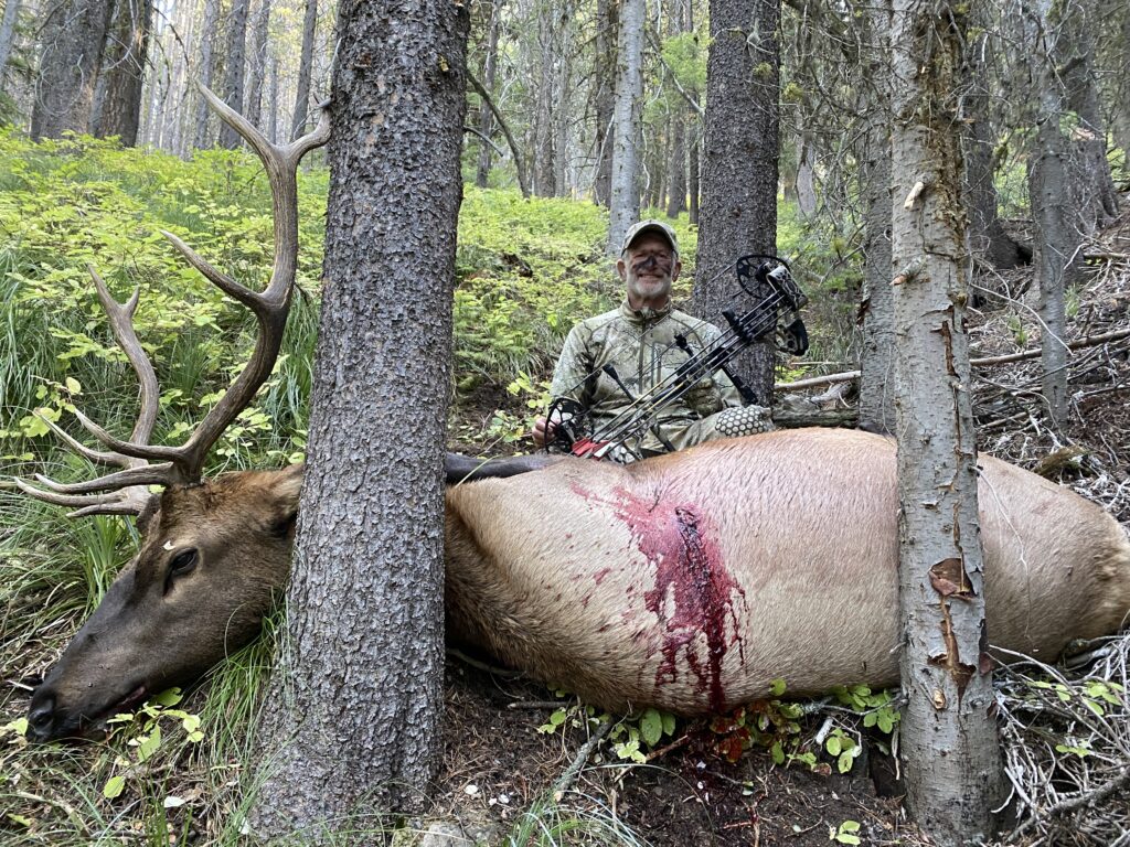 The Truth About Diy Public Land Western Bowhunting