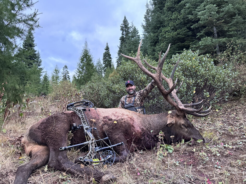 The Truth About Diy Public Land Western Bowhunting