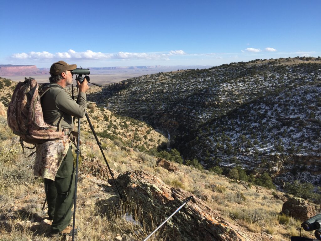 The Truth About Diy Public Land Western Bowhunting