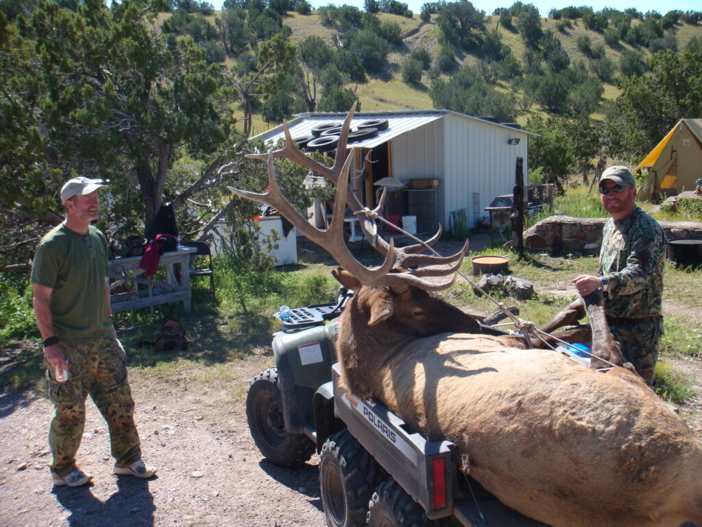 The Truth About Diy Public Land Western Bowhunting