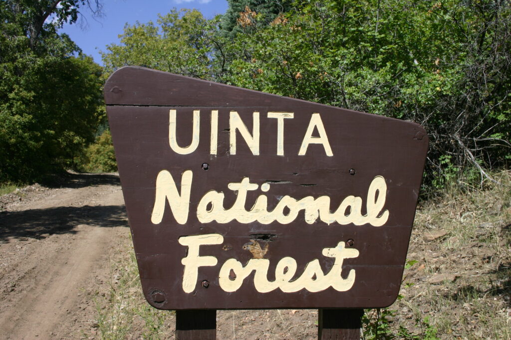 The Truth About Diy Public Land Western Bowhunting