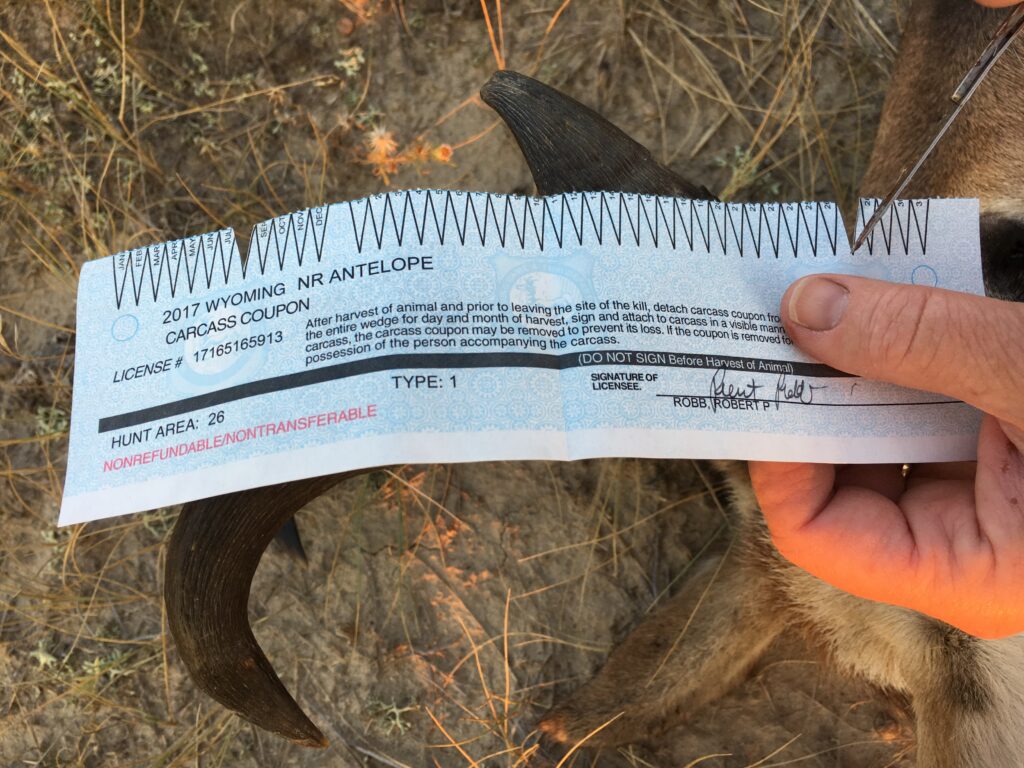 The Truth About Diy Public Land Western Bowhunting