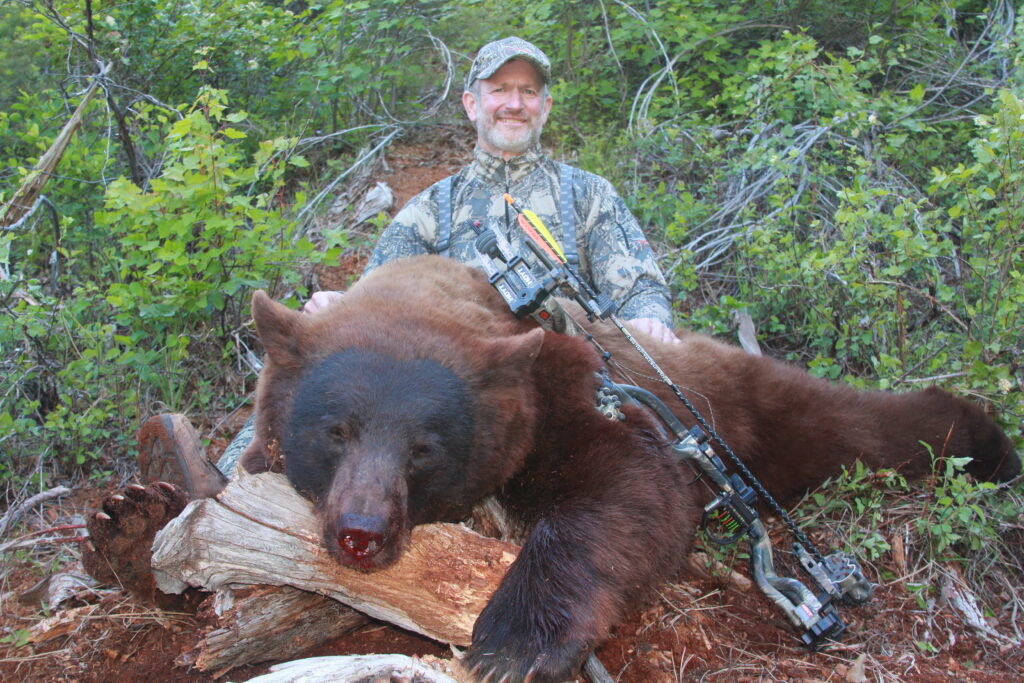 The Sound Of The Hounds