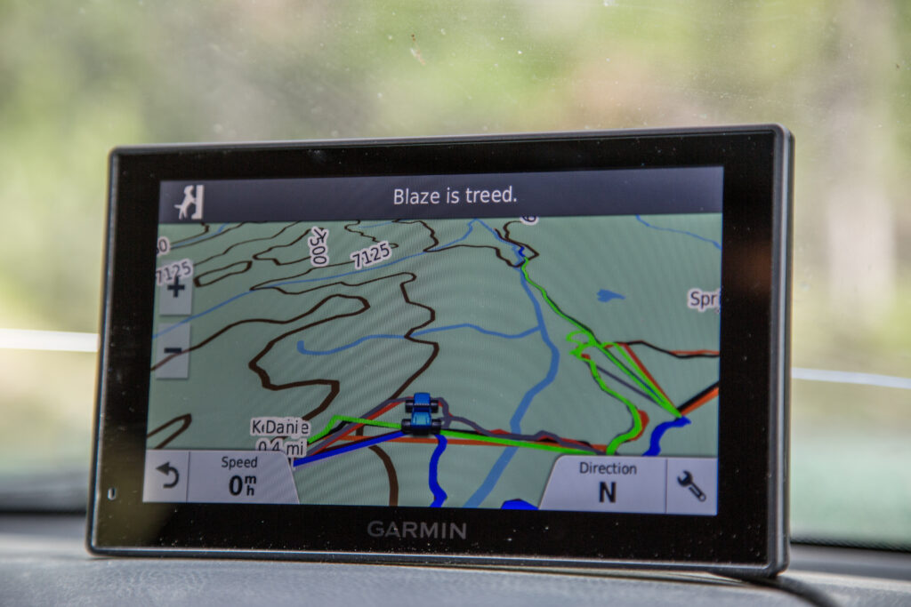 The Sound Of The Hounds