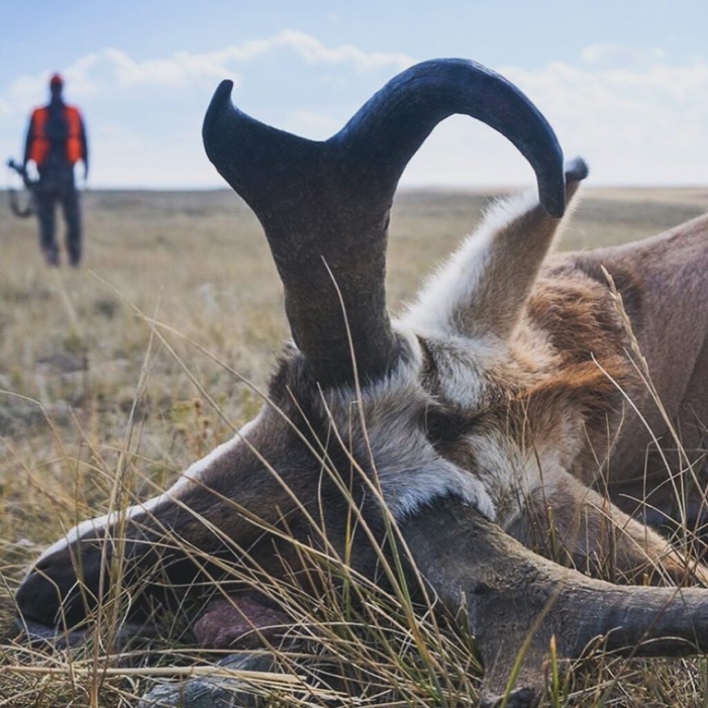 Archery Hunting In Wyoming 101