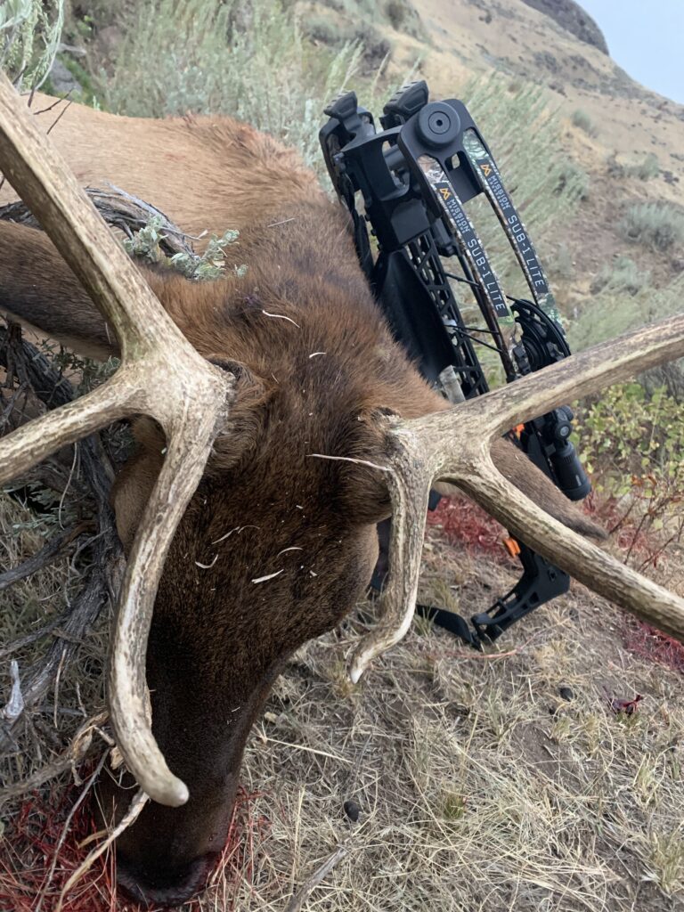 Archery Hunting In Wyoming 101